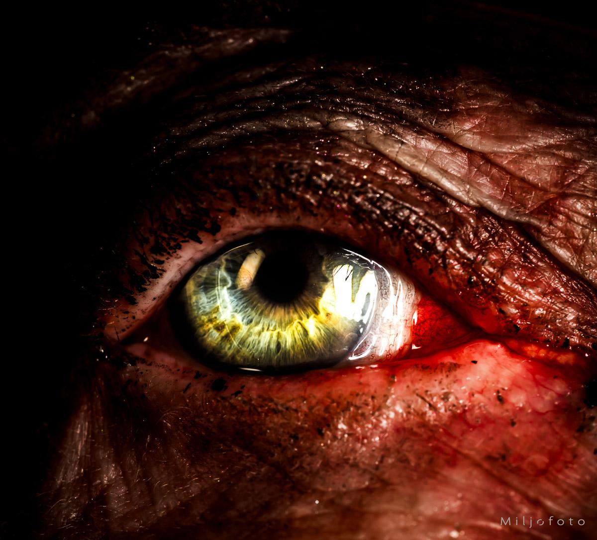 Bilde av et øye Bilde av et øye