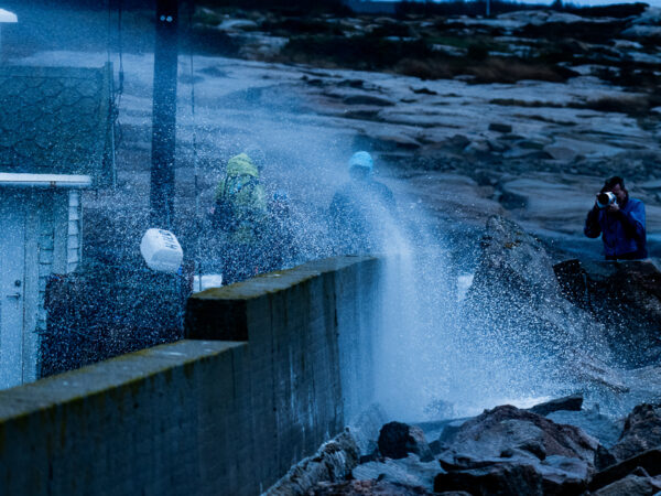 Bølgesprut - Hvaler