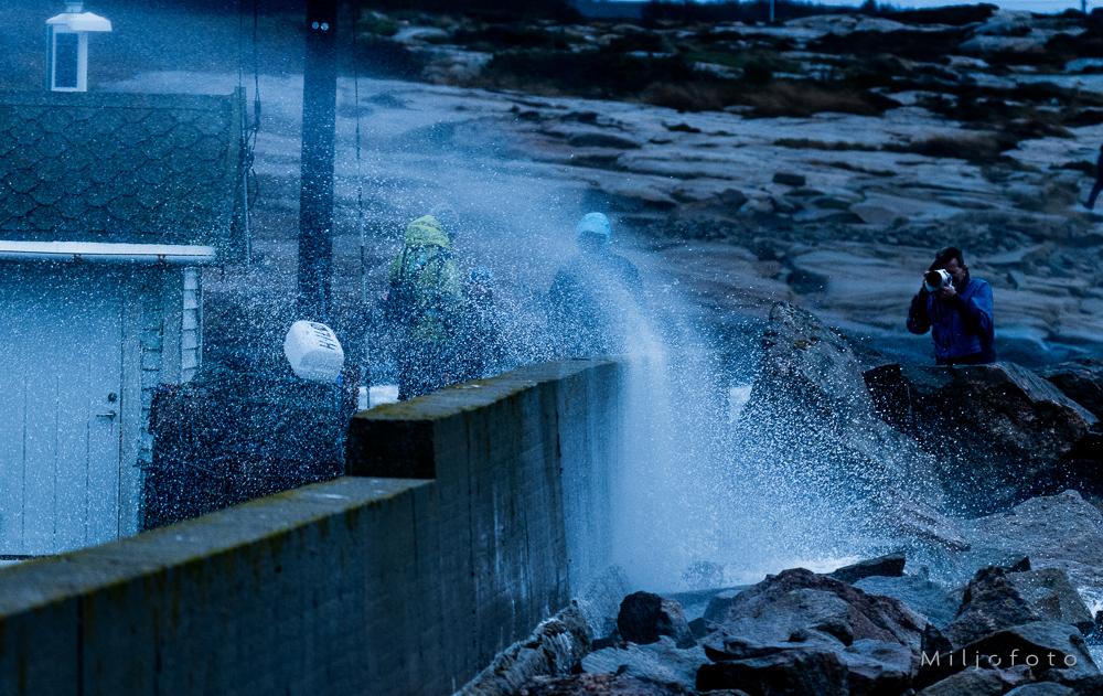 Bølgesprut - Hvaler Bølgesprut - Hvaler