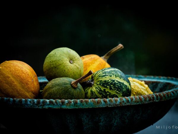 Pyntegresskar - Høst