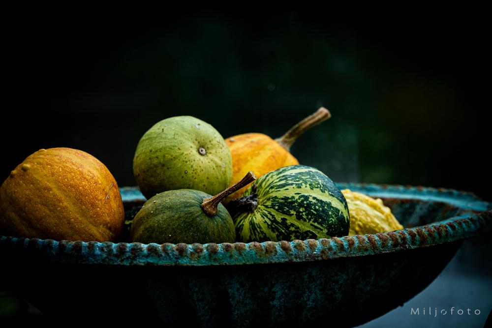 Pyntegresskar - Høst