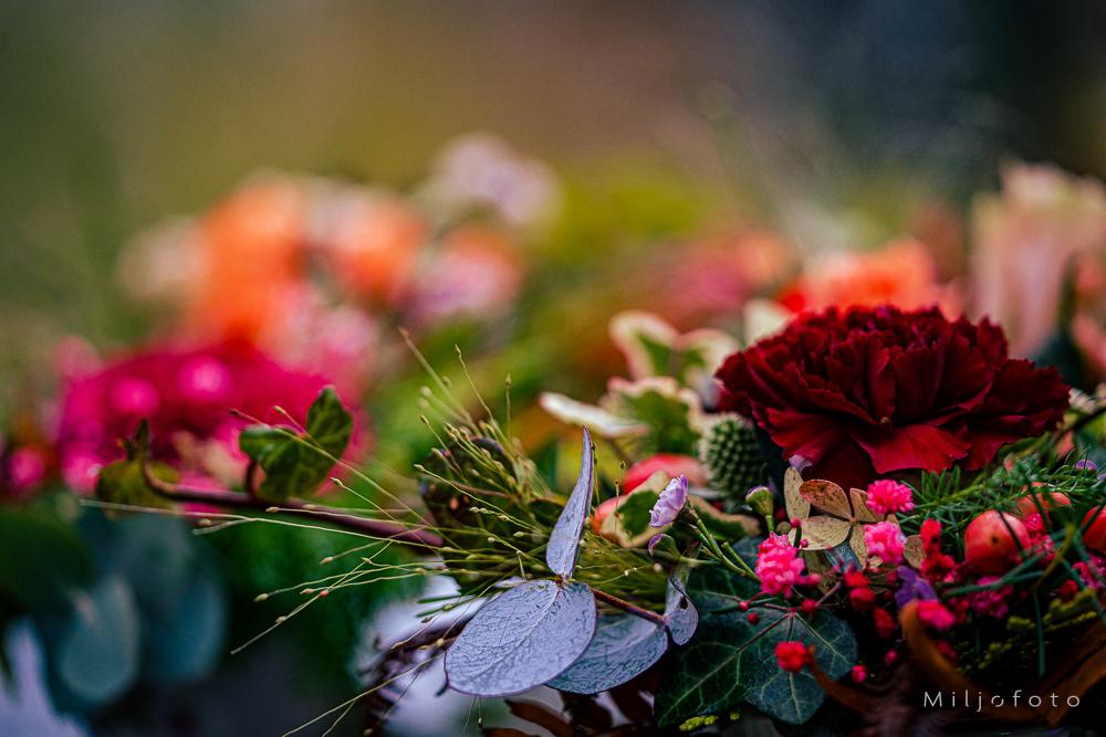 Dekorasjon - Blomster