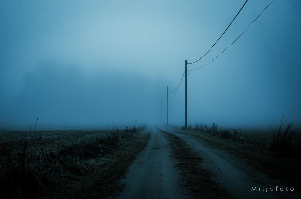Vei inn i tåken
