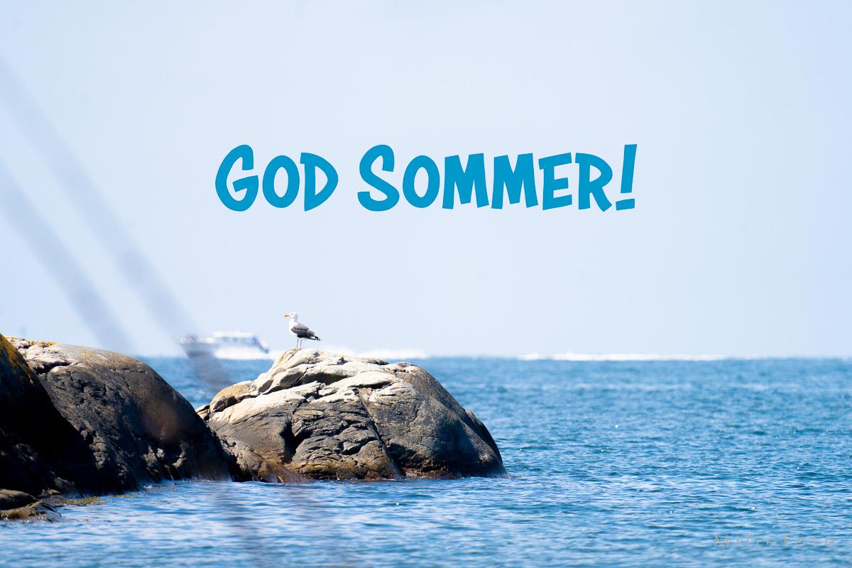 God Sommer ved havet
