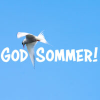 Sommerhilsen - Sommer