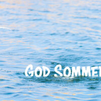 Sommerbilde - Sommer
