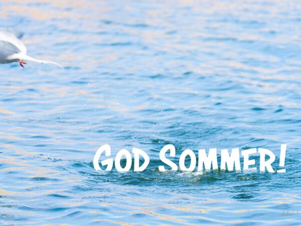 Sommerbilde - Sommer