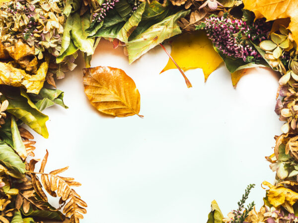 Høstramme - Høst, Bilde av høstblader