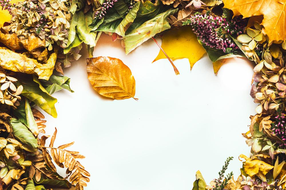 Høstramme - Høst, Bilde av høstblader