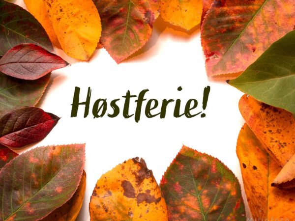 Blader i sirkel - Høstferie