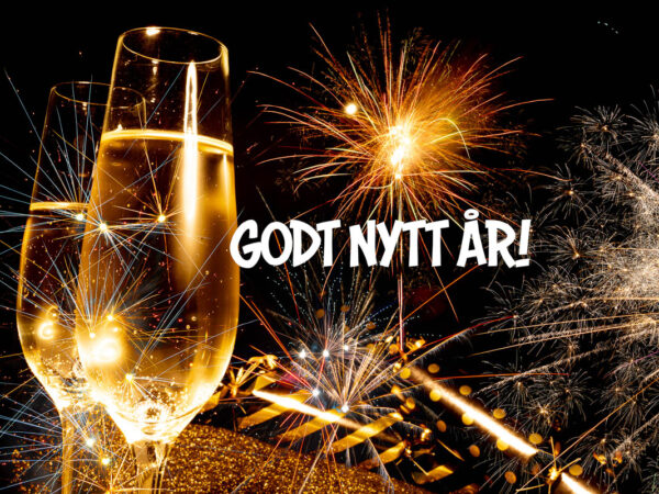 Godt nytt år (7)