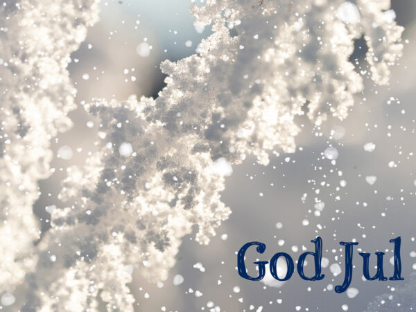 Julekort med vintermotiv