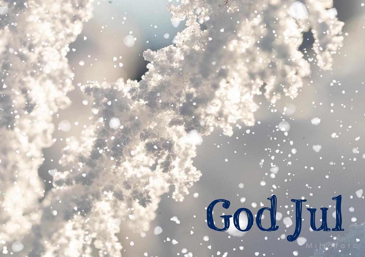 Julekort med vintermotiv