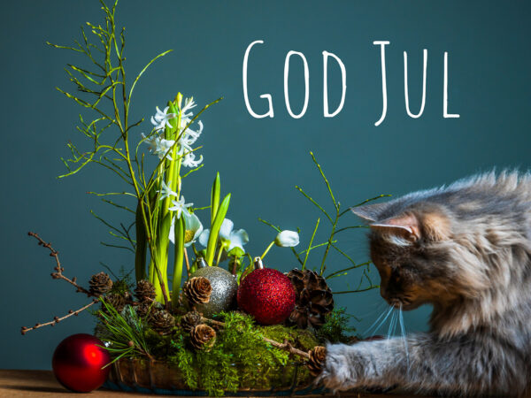 Julekort med bilde av en katt som leker med en juledekorasjon