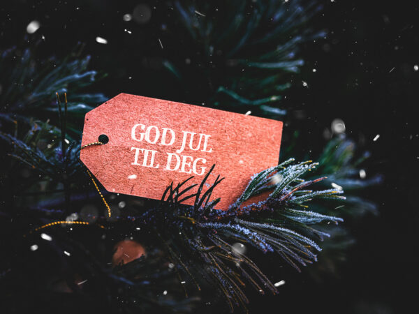 God jul til deg - jul