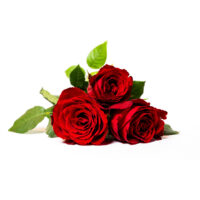 Jeg elsker deg - 3 røde roser