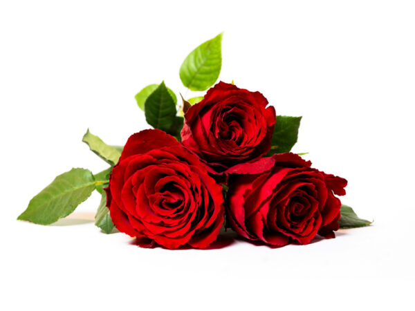 Jeg elsker deg - 3 røde roser