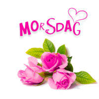 Morsdag - rosa roser