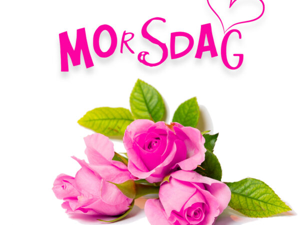 Morsdag - rosa roser