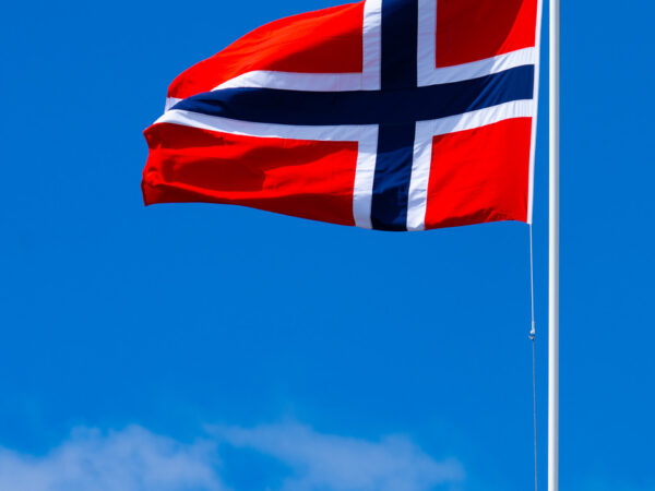 Norsk flagg (5)