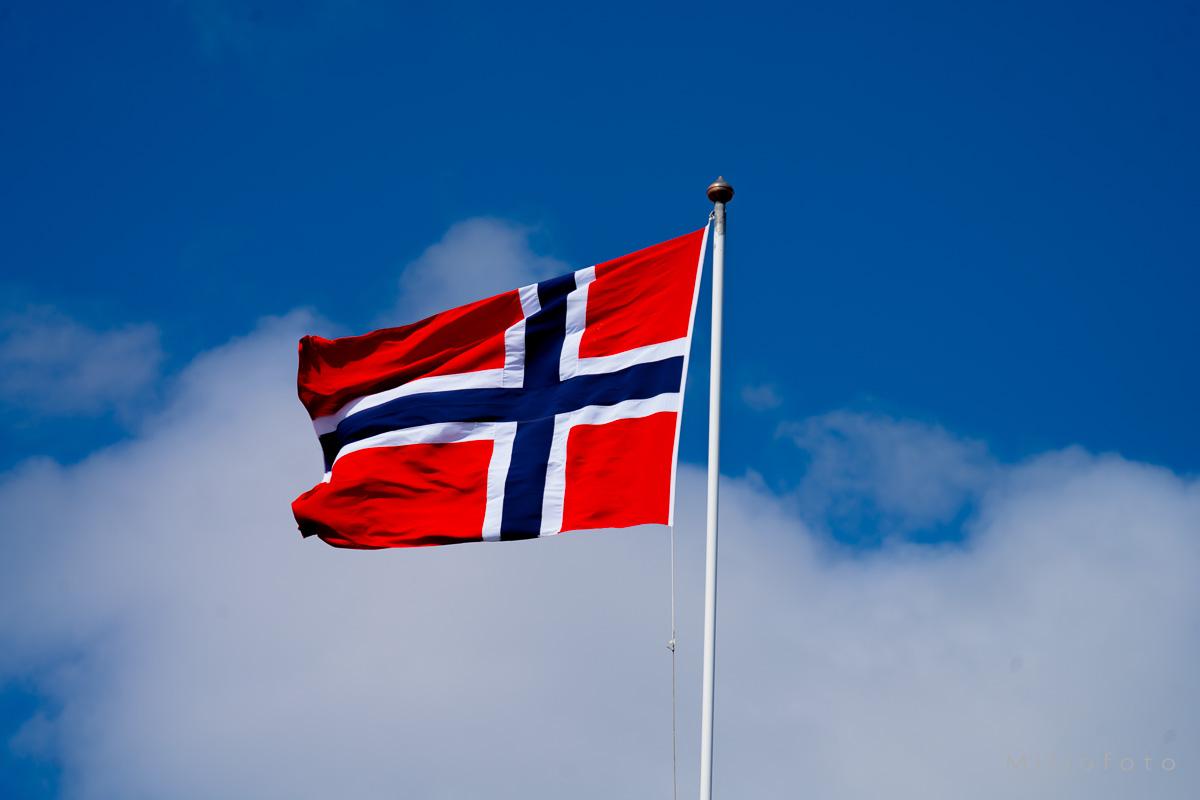 Norsk flagg (8)