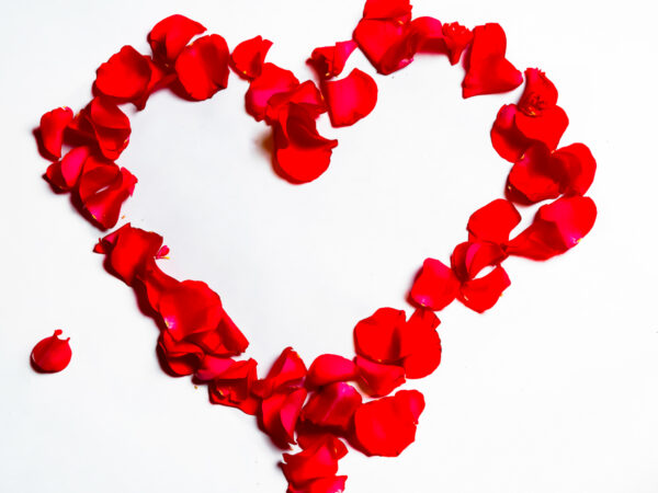 Hjerte av roser