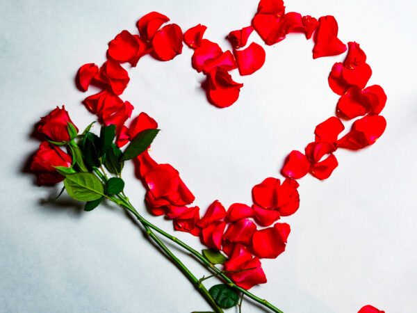 Roser og Hjerte