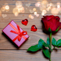 Valentines - rose og gave