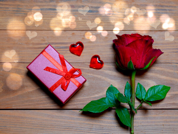 Valentines - rose og gave