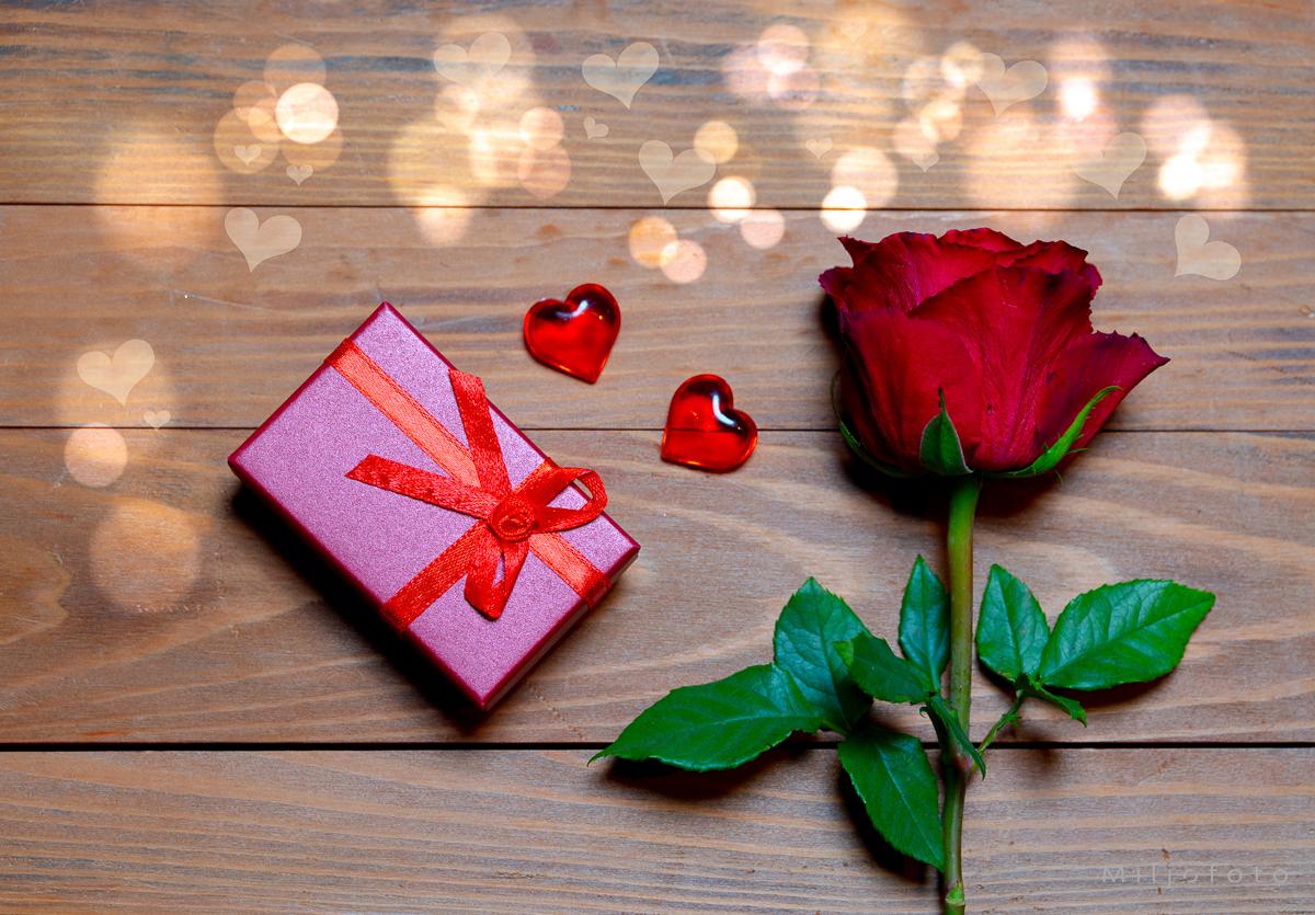 Valentines - rose og gave Valentines - rose og gave