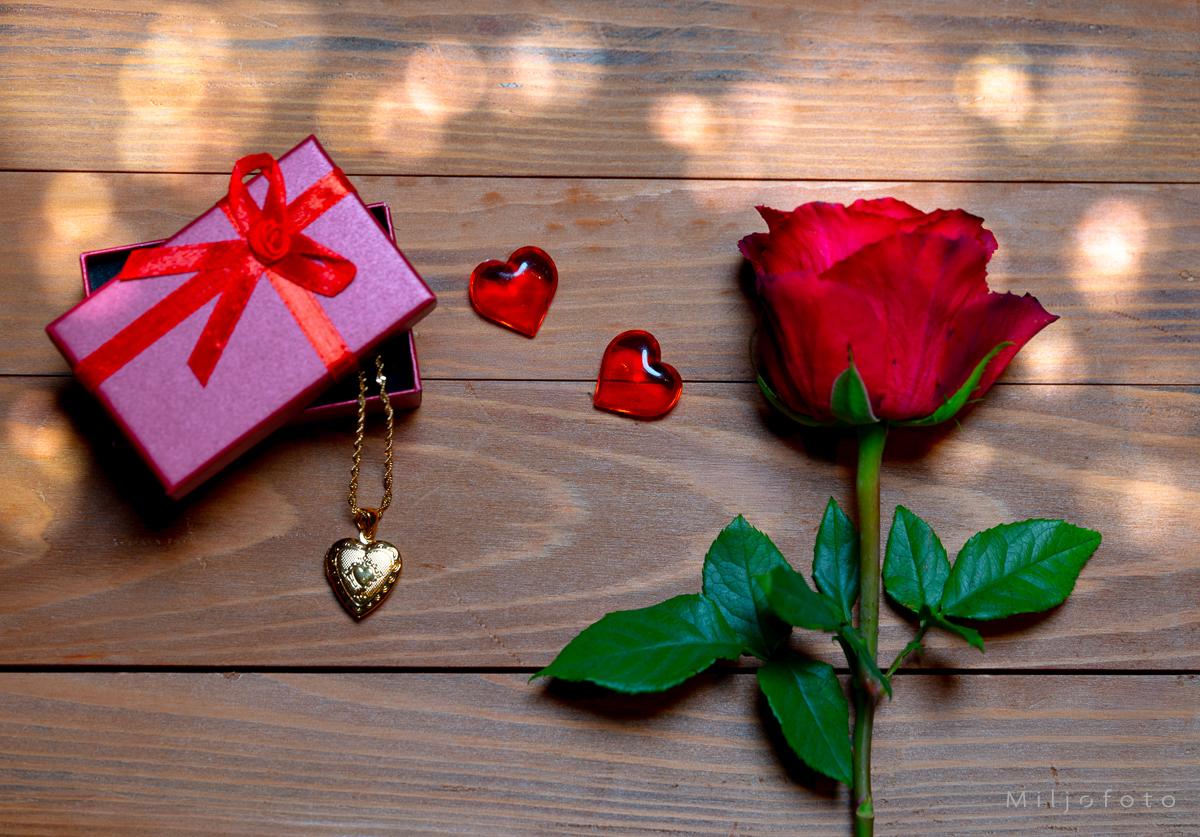 Valentines bilde Valentines bilde