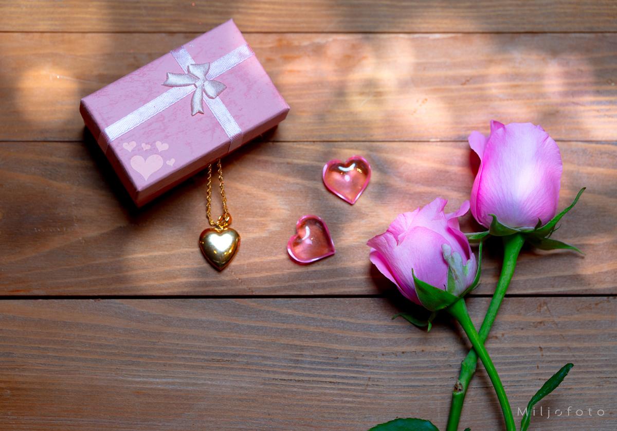 Valentines - rosa Valentinesbilde av rose og gave