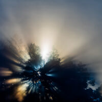 Sol bak trær - vinter