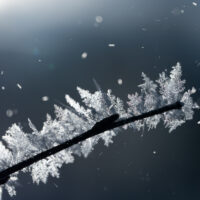 Snøkrystaller - Vinter