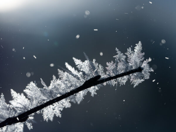 Snøkrystaller - Vinter