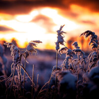 Kulde og varme - vinter