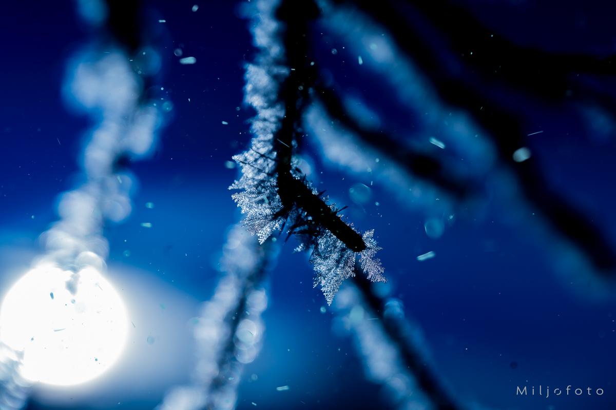 Vinterbilde - vinter