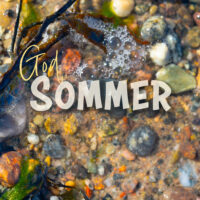 God sommer - Fjæra