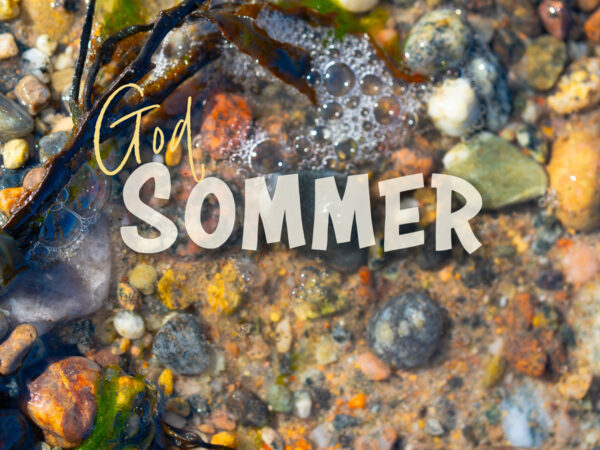 God sommer - Fjæra