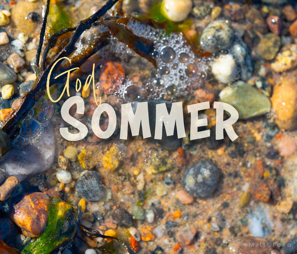 God sommer - Fjæra