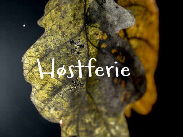 Høstferie - grønnt blad