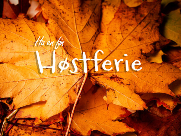Høstferie - Blader