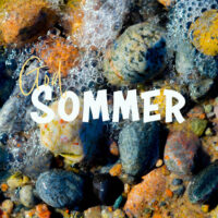 God sommer - sjø og stein