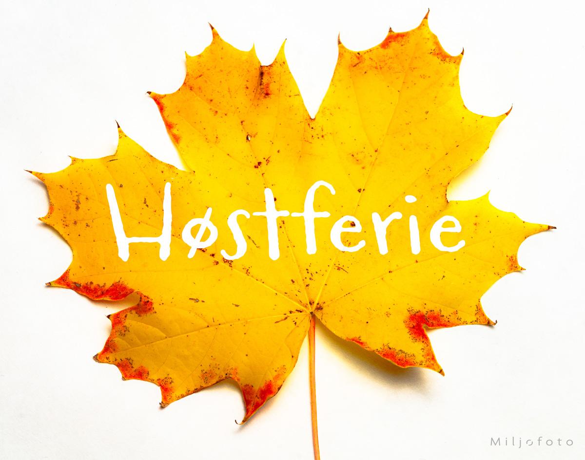 Høstferie