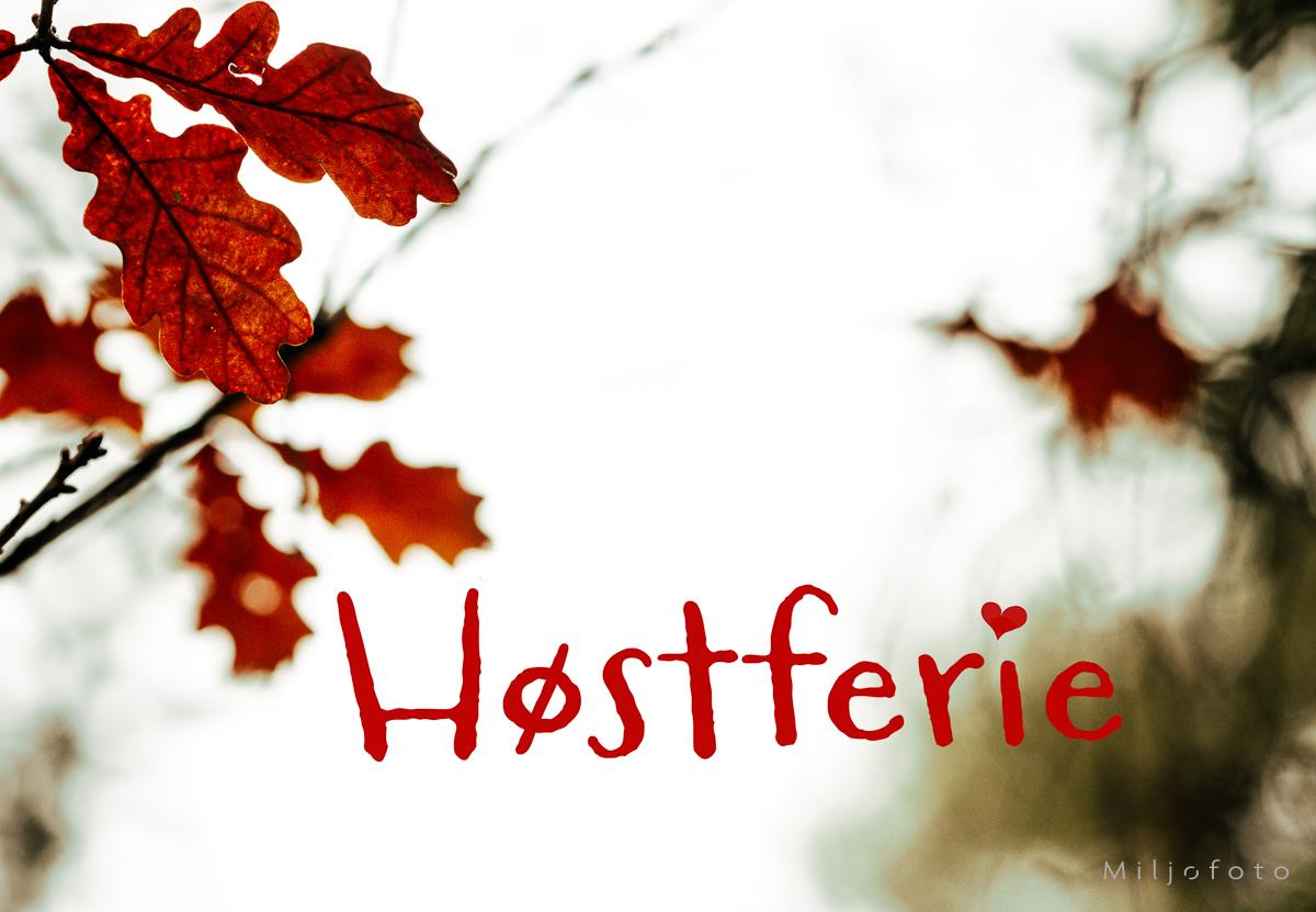 Høstferie - høstmotiv