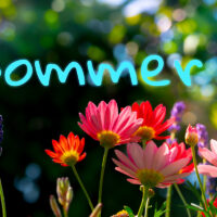 Sommer