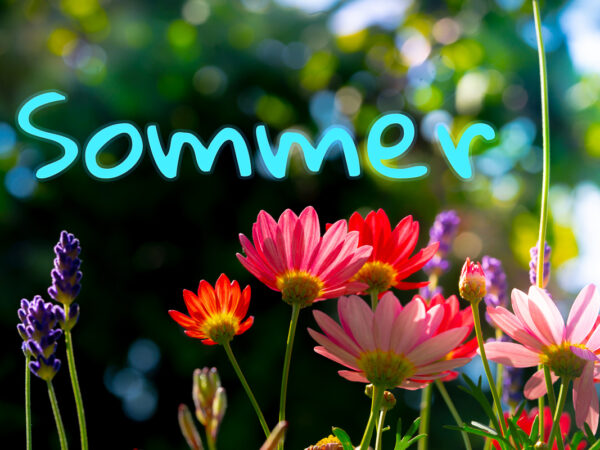 Sommer