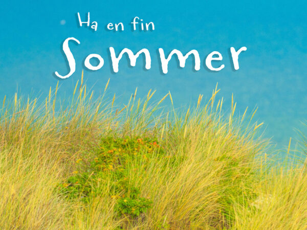Ha en fin sommer