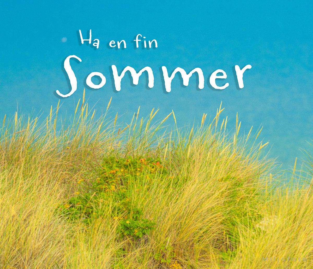 Ha en fin sommer