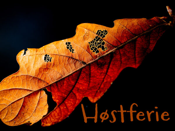 Høstferie - Høstblad